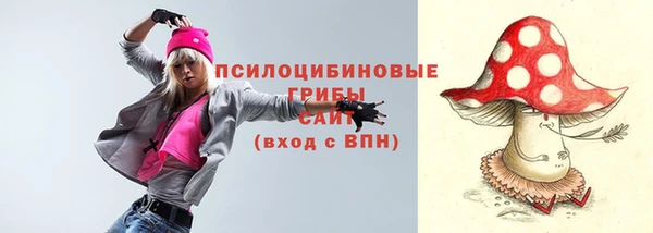гидра Горнозаводск