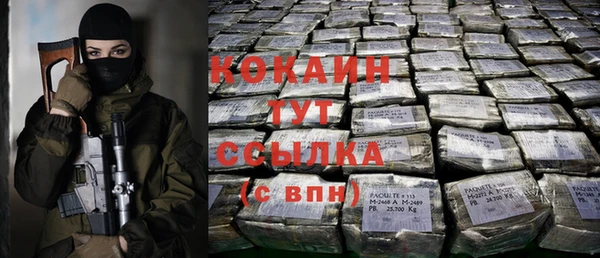 гидра Горнозаводск