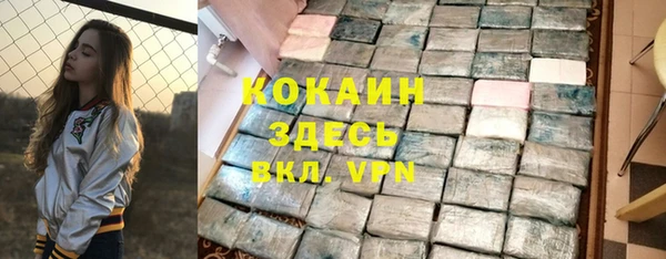 гидра Горнозаводск