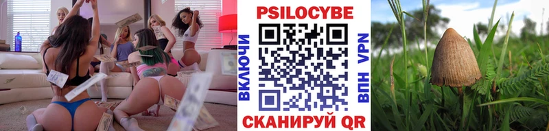где можно купить наркотик  Дюртюли  Галлюциногенные грибы GOLDEN TEACHER 